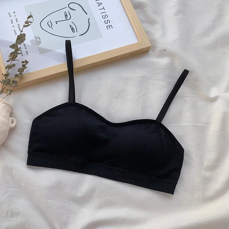 Seamless Bras For Women Wireless Brassiere Comfort Bra Female Seamless Underwear Sexy Lingerie Girls Intimates Aviola