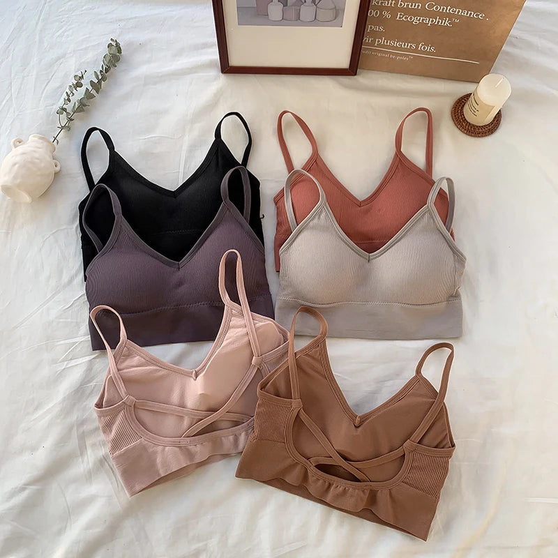 Women Crop Top Solid Color Tube Top Seamless Bra Sports Sexy Lingerie Active Bra Tops Underwear With Removable Pads Aviola