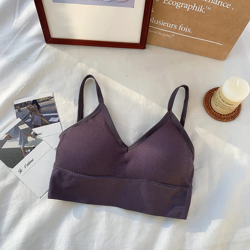 Women Crop Top Solid Color Tube Top Seamless Bra Sports Sexy Lingerie Active Bra Tops Underwear With Removable Pads Aviola