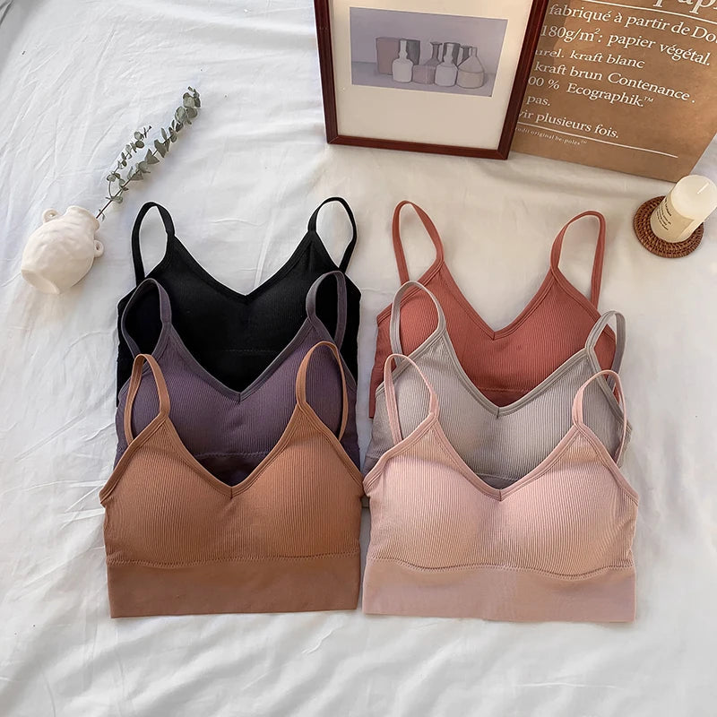 Women Crop Top Solid Color Tube Top Seamless Bra Sports Sexy Lingerie Active Bra Tops Underwear With Removable Pads Aviola