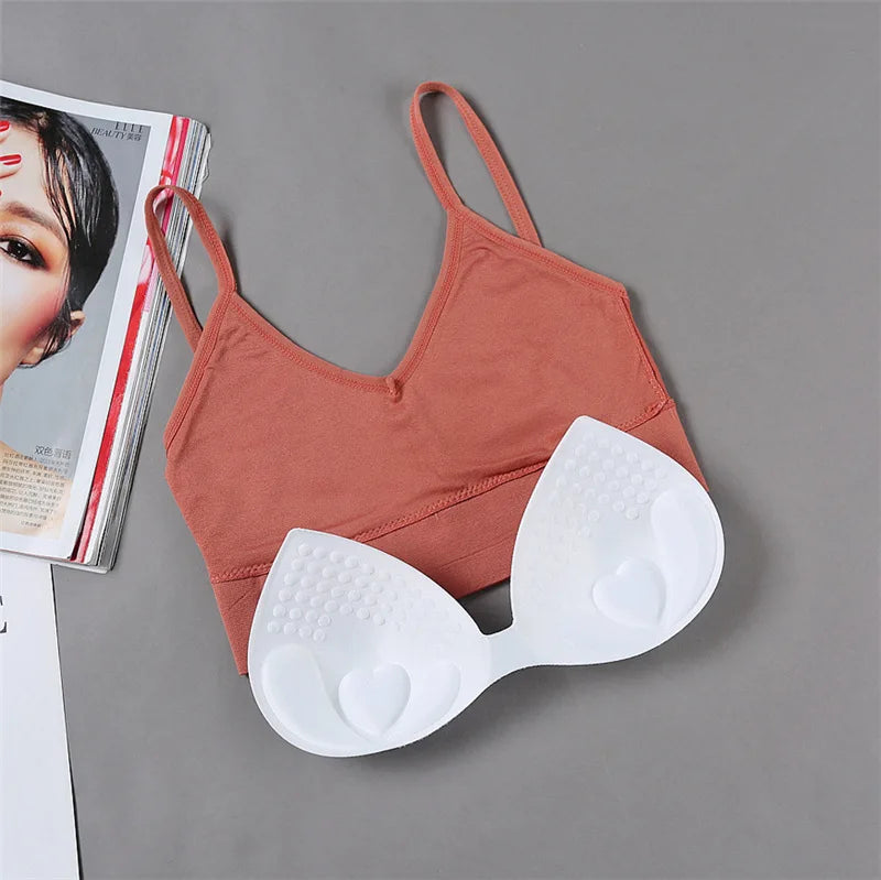 Women Crop Top Solid Color Tube Top Seamless Bra Sports Sexy Lingerie Active Bra Tops Underwear With Removable Pads Aviola
