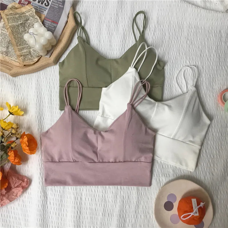 Cotton Tube Bra Tops Women Crop Top Female Seamless Underwear Top Sleeveless Sexy Lingerie Padded Summer Bandeau Aviola