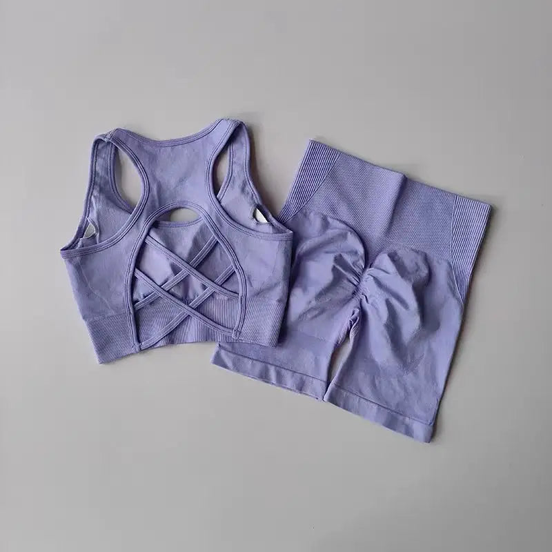 2 PCS Women's Seamless Yoga Set Sexy Sport Bra High Waist Sports Shorts Gym Fitness Sleeveless Workout Suit Sporstwear Aviola