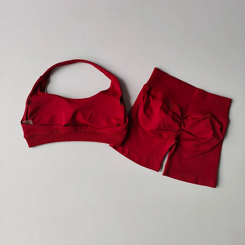 2 Pieces Yoga Suit for Women Seamless Fitness Gym Clothes Halter Sports Bra Matching Impact Shorts Workout Sets Gym Outfit Aviola