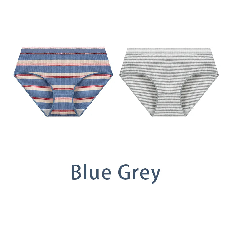 2PCS/Set Women Cotton Sexy Retro Panties Female Low Waist Underwear Classic Design Lingerie Girls Cute Briefs Aviola