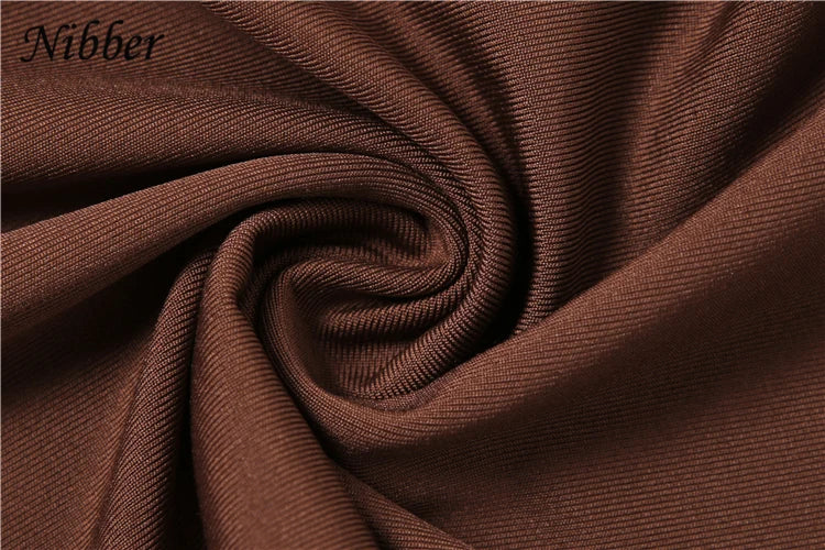 Nibber Pleats Elegant 2 Piece Set Women Sexy Low Neck Sleeveless Crop Tops+Irregular Waist Tassel Straight pants Fashion Suit Aviola