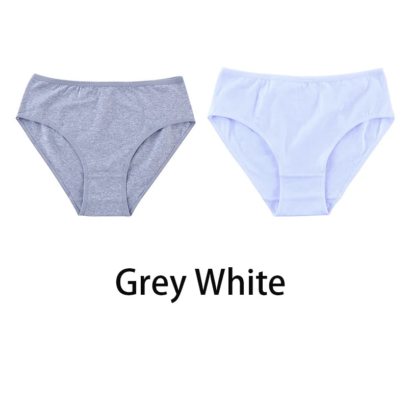 2PCS/Set Women Sexy 95% Cotton Panties Plus Size Underwear Female Underpants Girls Soft Briefs Comfort Lingerie Aviola