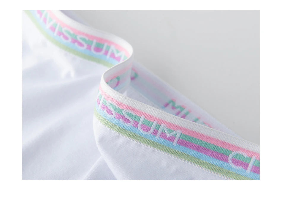 2PCS/Set Women Cotton Rainbow Letter Panties Sexy Plus Size Underwear Lingerie Mid Waist Comfortable Briefs NK609 Aviola