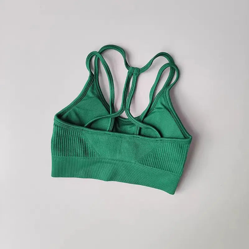 Breathable Sports Bra for Women, Shockproof Fitness Tops, Gym Crop Top Brassiere, Push Up Sport Bras, Seamless Yoga Bra Aviola