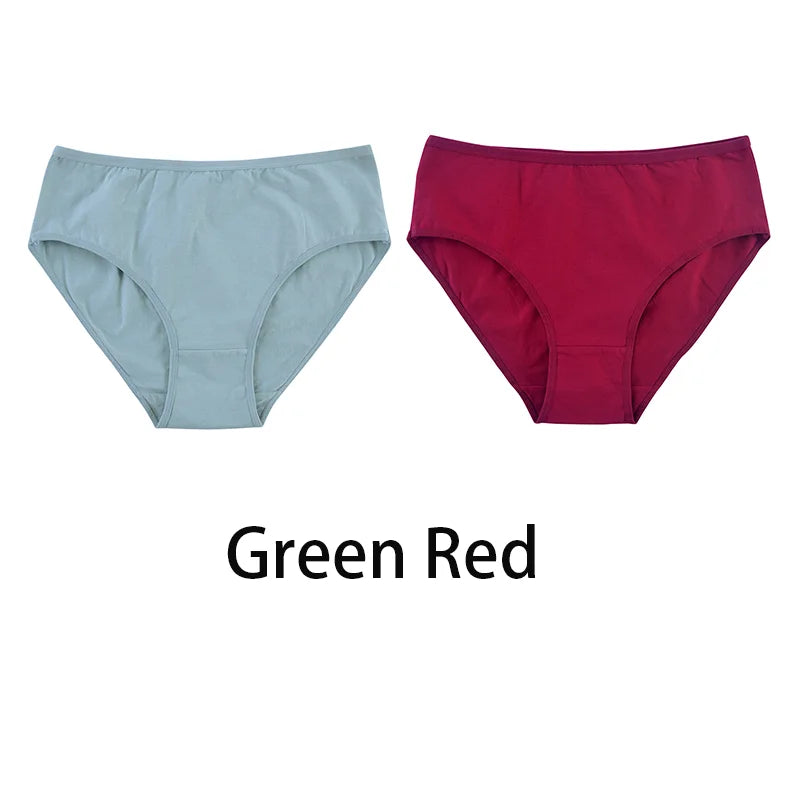 2PCS/Set Women Sexy 95% Cotton Panties Plus Size Underwear Female Underpants Girls Soft Briefs Comfort Lingerie Aviola
