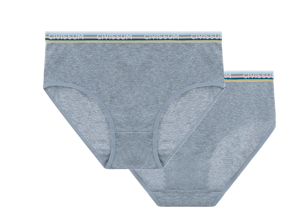 2PCS/Set Women Cotton Rainbow Letter Panties Sexy Plus Size Underwear Lingerie Mid Waist Comfortable Briefs NK609 Aviola