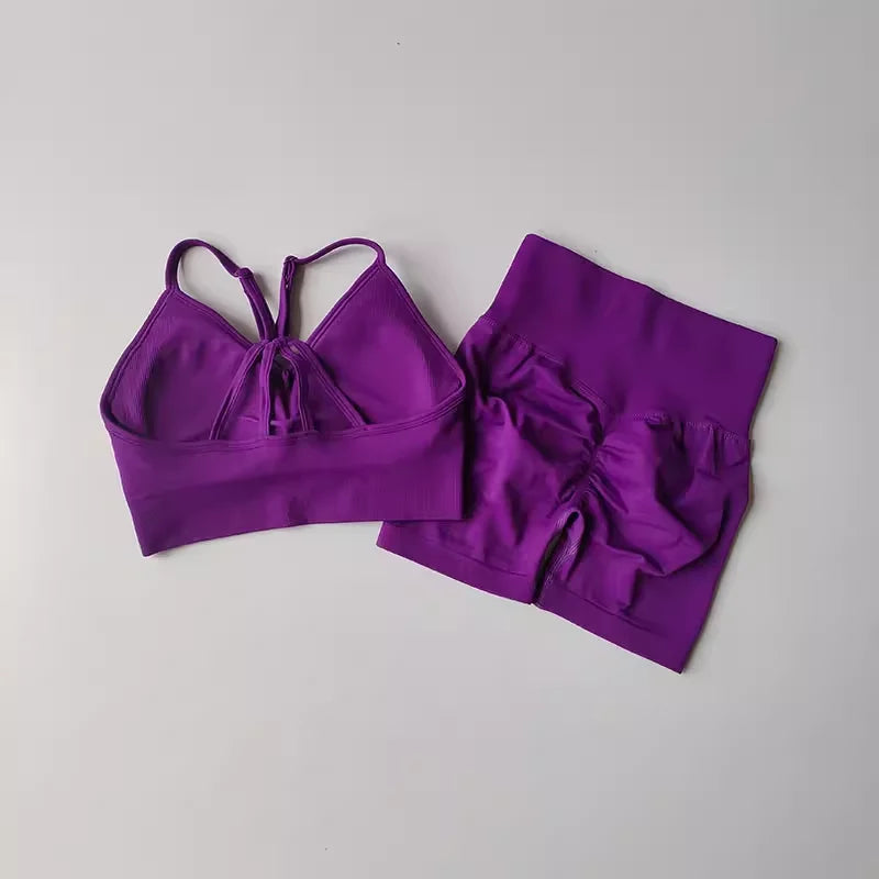 2 Pcs Yoga Sets Women High Waist Workout Outfits Gym Wear Gym Clothing Sports Suits Fitness Tracksuit Sportswear Shorts Suit Aviola