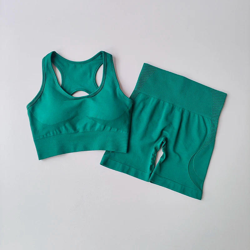 2 PCS Women's Seamless Yoga Set Sexy Sport Bra High Waist Sports Shorts Gym Fitness Sleeveless Workout Suit Sporstwear Aviola