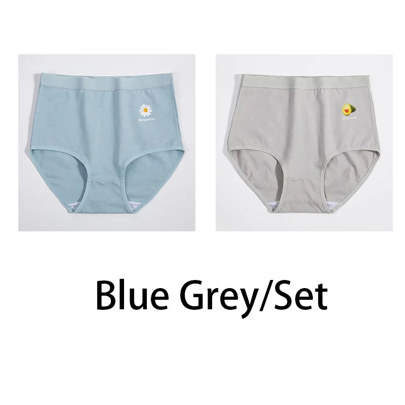 2Pcs/Set Women Printed Big Size Panties Cotton Underwear Lingerie Plus Size Sexy Female High Waist Comfort Briefs Aviola