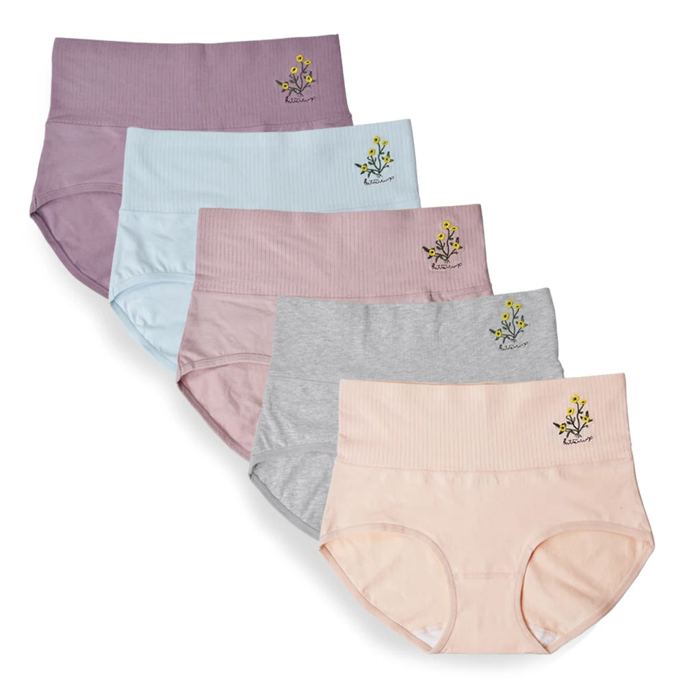 5 pcs/Lot High Waist Underwear Cotton Panties for Women Light Panty Culotte Femme Underpants M-XXL Girls Comfortable Briefs Aviola