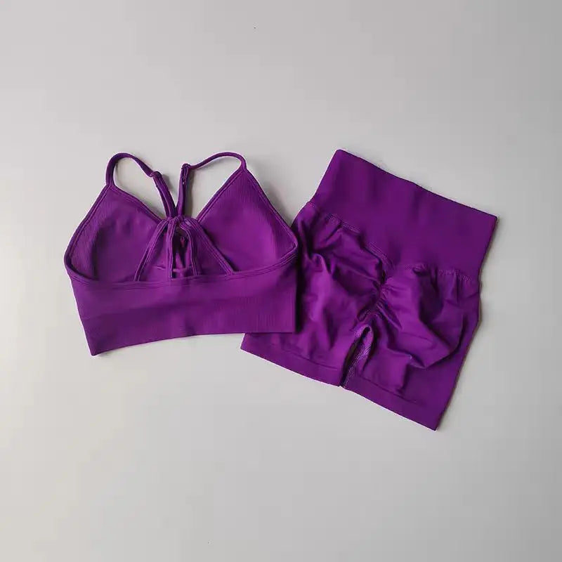 2 Pcs Yoga Sets Women High Waist Workout Outfits Gym Wear Gym Clothing Sports Suits Fitness Tracksuit Sportswear Shorts Suit Aviola