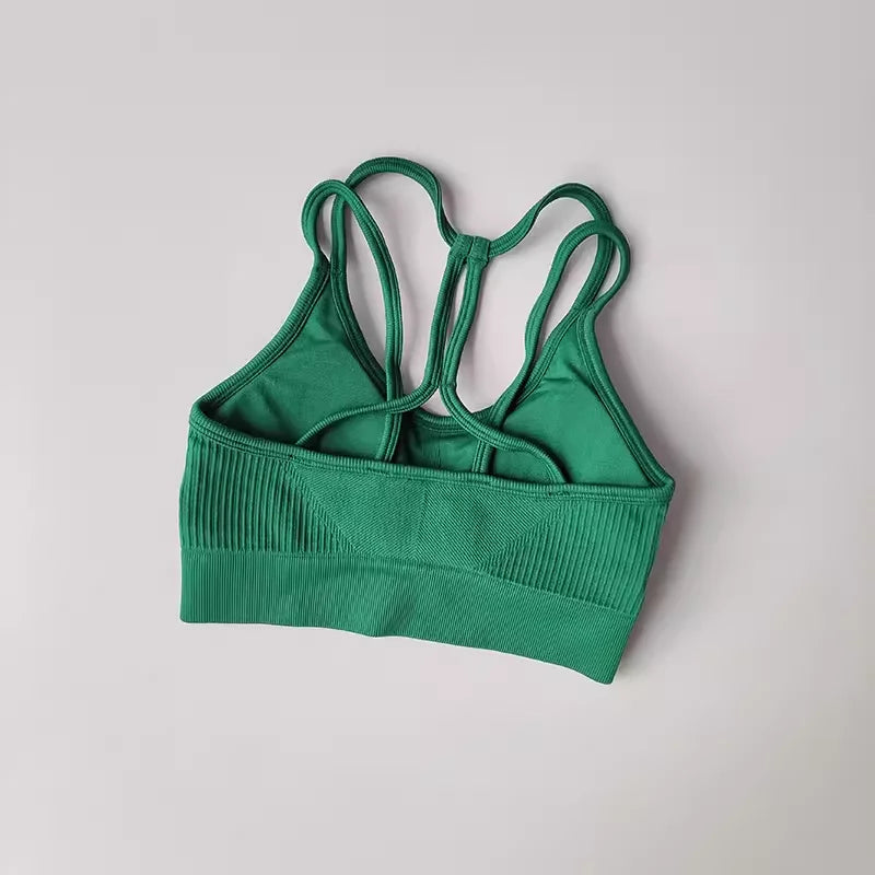 Breathable Sports Bra for Women, Shockproof Fitness Tops, Gym Crop Top Brassiere, Push Up Sport Bras, Seamless Yoga Bra Aviola