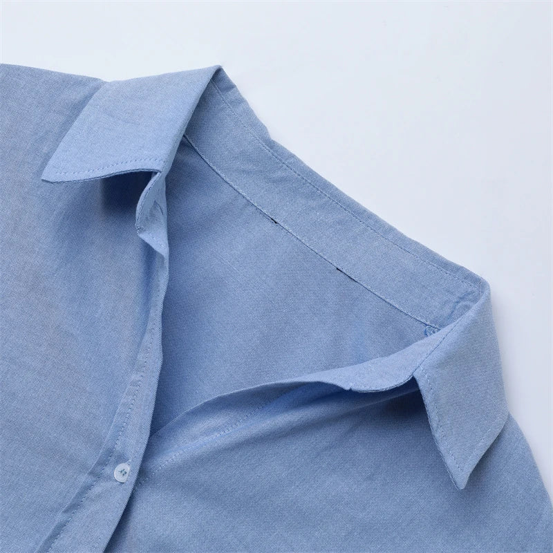 RARF 2024 New women's lapel loose Oxford long sleeve shirt, elegant blouse, vintage style, suitable for the office, fall Aviola