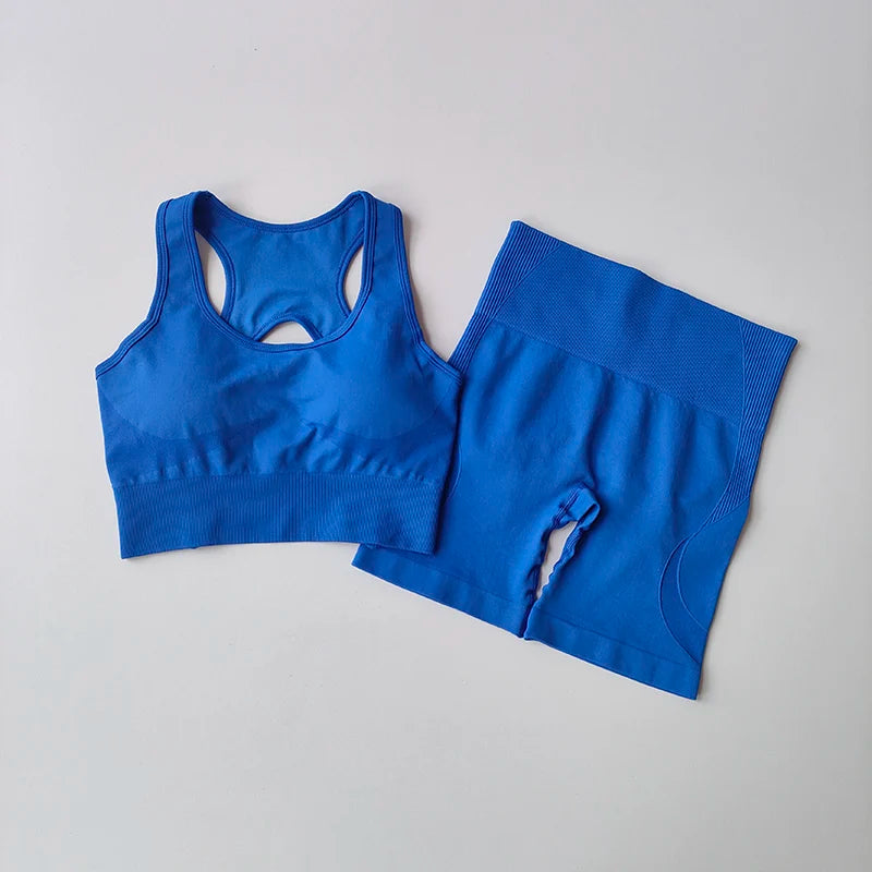 2 PCS Women's Seamless Yoga Set Sexy Sport Bra High Waist Sports Shorts Gym Fitness Sleeveless Workout Suit Sporstwear Aviola