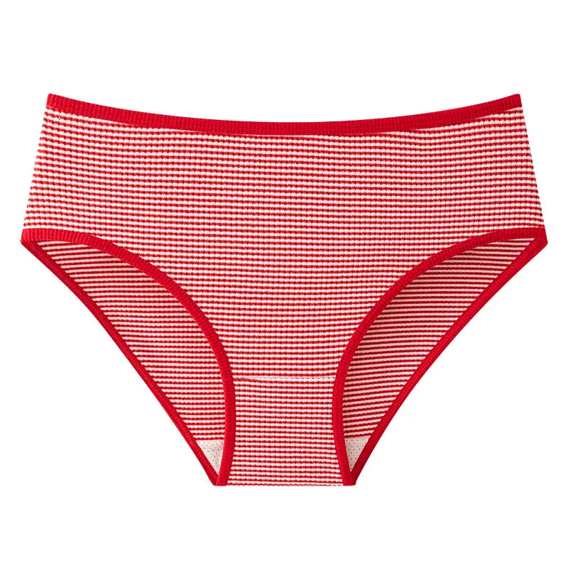 2Pcs/Set Women High Rise Panties Seamless Underwear Winter Warm Underpants Breathable Briefs Female Sexy Lingerie Aviola
