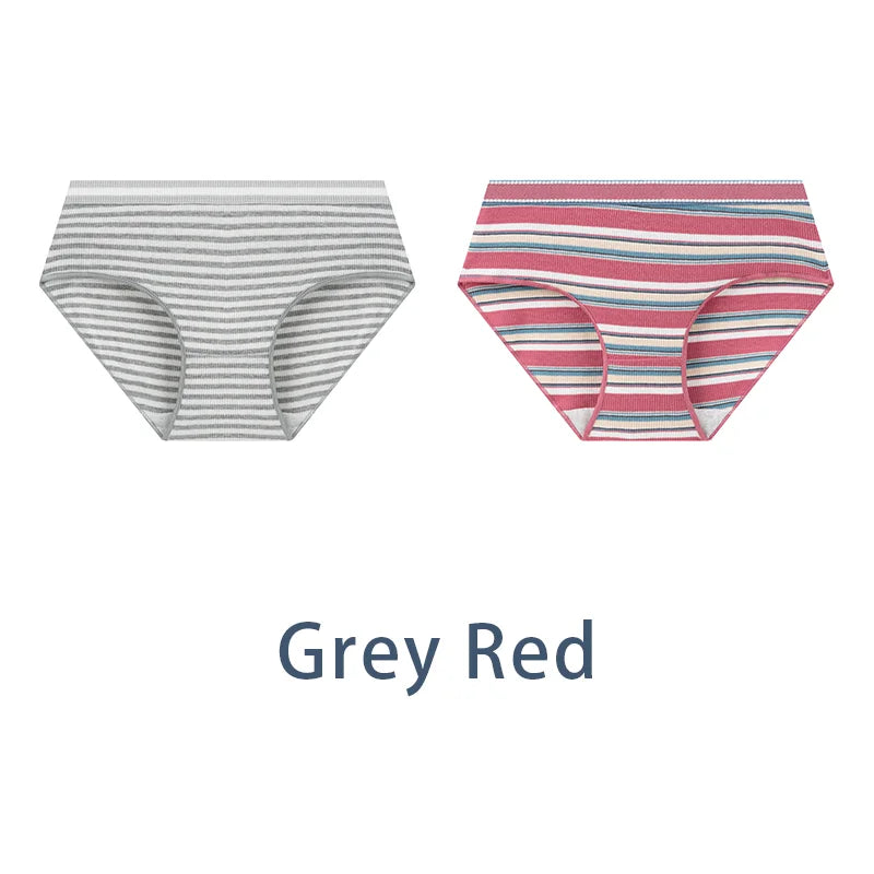2PCS/Set Women Cotton Sexy Retro Panties Female Low Waist Underwear Classic Design Lingerie Girls Cute Briefs Aviola