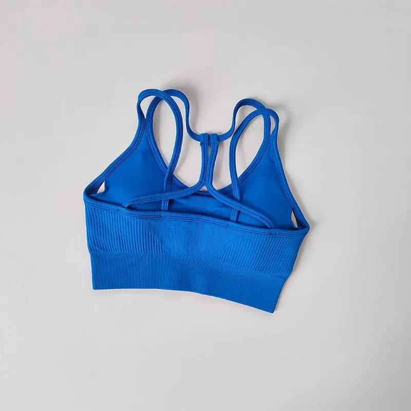 Breathable Sports Bra for Women, Shockproof Fitness Tops, Gym Crop Top Brassiere, Push Up Sport Bras, Seamless Yoga Bra Aviola