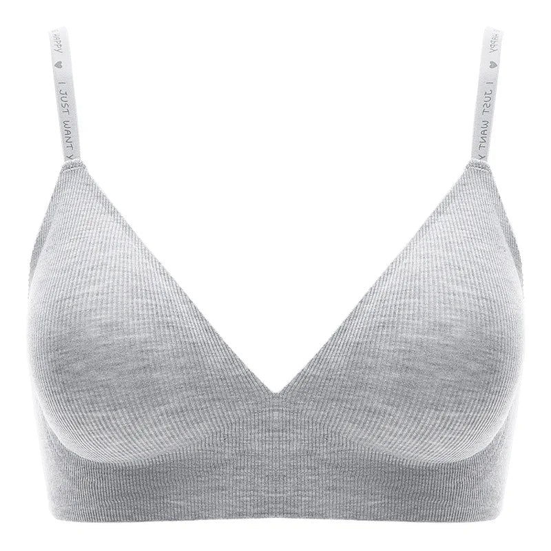 2Pcs/Set Seamless Bras For Women Nonwire Brassiere Soft Underwear Tops Letter Strap Sexy Lingerie U-shaped Back Bralette Aviola