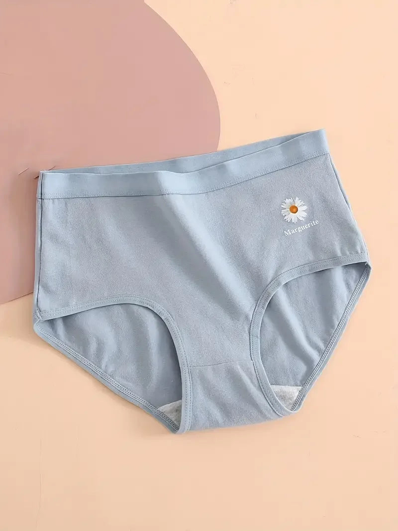 2PCS/Set Women Printed Plus Size Panties Cotton Underwear Lingerie 6 Colors Sexy Female High Waist Comfort Briefs Aviola