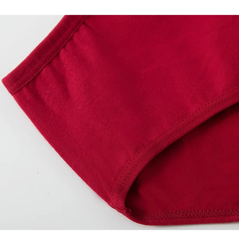 2PCS/Set Women Sexy 95% Cotton Panties Plus Size Underwear Female Underpants Girls Soft Briefs Comfort Lingerie Aviola