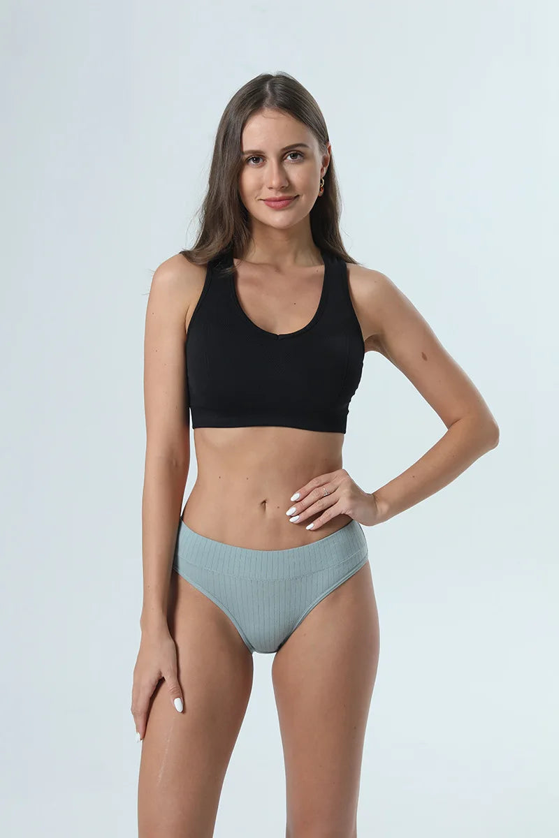 2PCS/Set Women Plus Size Seamless Cotton Panties Daily Underwear Sexy Female Rib Underpants Girls Comfort Briefs Lingerie 835 Aviola