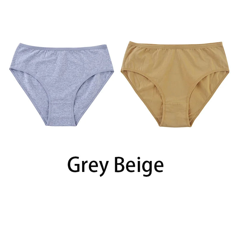 2PCS/Set Women Sexy 95% Cotton Panties Plus Size Underwear Female Underpants Girls Soft Briefs Comfort Lingerie Aviola