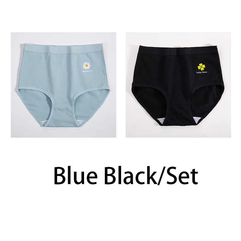 2PCS/Set Women Printed Plus Size Panties Cotton Underwear Lingerie 6 Colors Sexy Female High Waist Comfort Briefs Aviola