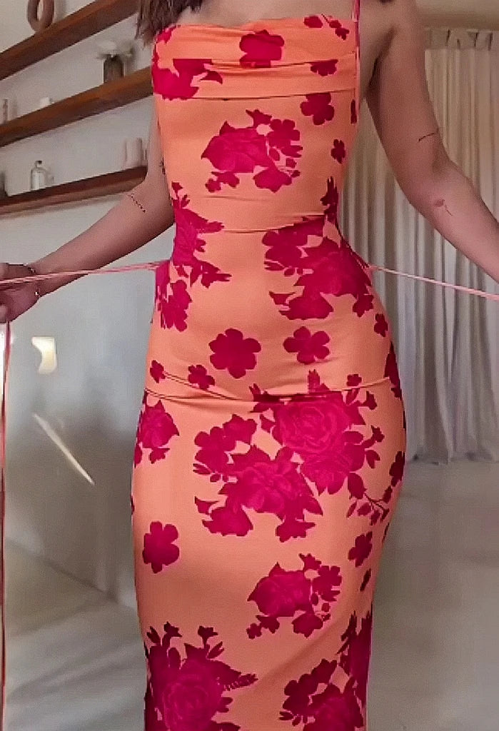 Sexy backless lace-up and printed halter dress Aviola