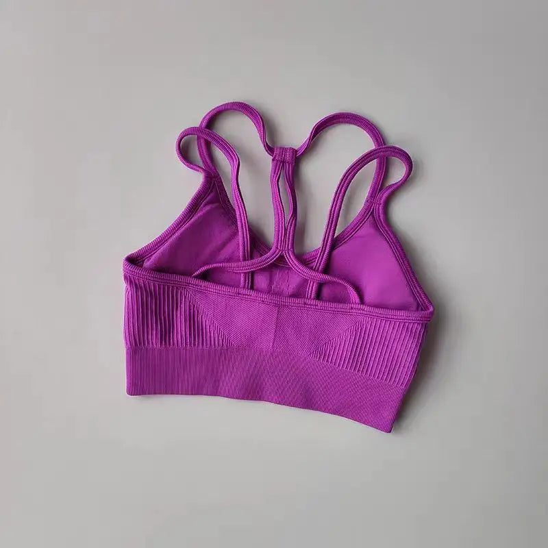Breathable Sports Bra for Women, Shockproof Fitness Tops, Gym Crop Top Brassiere, Push Up Sport Bras, Seamless Yoga Bra Aviola