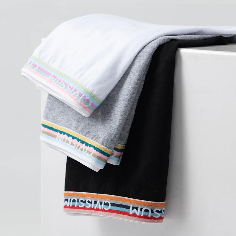 2PCS/Set Women Cotton Rainbow Letter Panties Sexy Plus Size Underwear Lingerie Mid Waist Comfortable Briefs NK609 Aviola