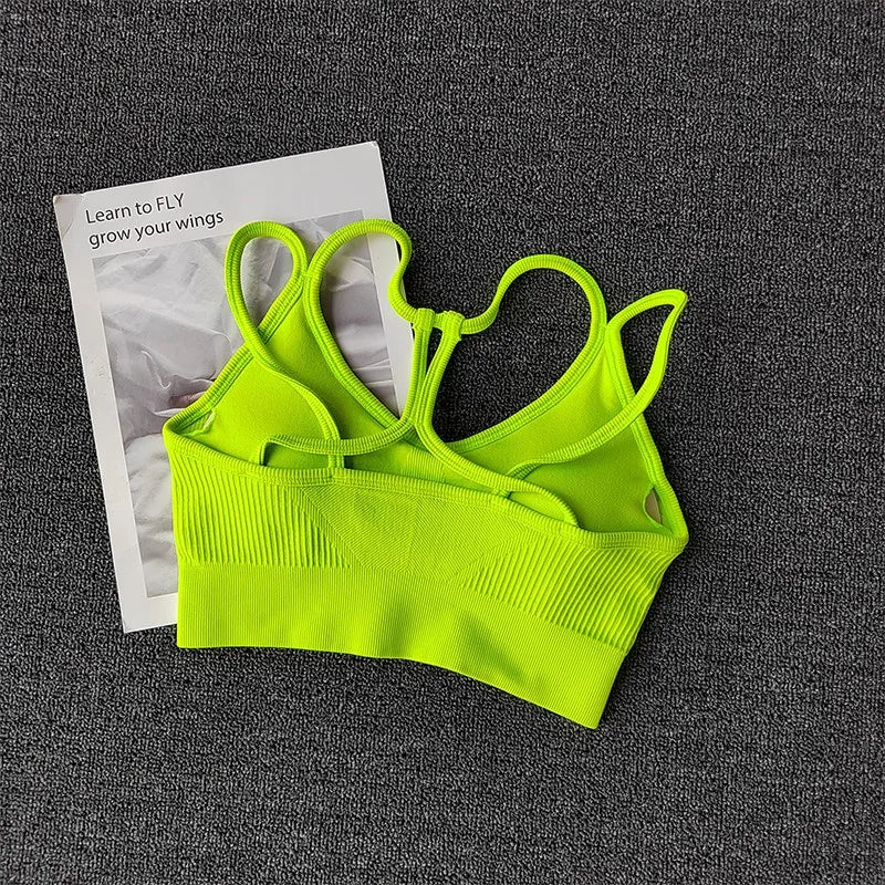 Breathable Sports Bra for Women, Shockproof Fitness Tops, Gym Crop Top Brassiere, Push Up Sport Bras, Seamless Yoga Bra Aviola
