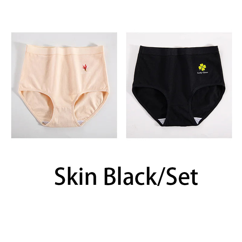 2Pcs/Set Women Printed Big Size Panties Cotton Underwear Lingerie Plus Size Sexy Female High Waist Comfort Briefs Aviola