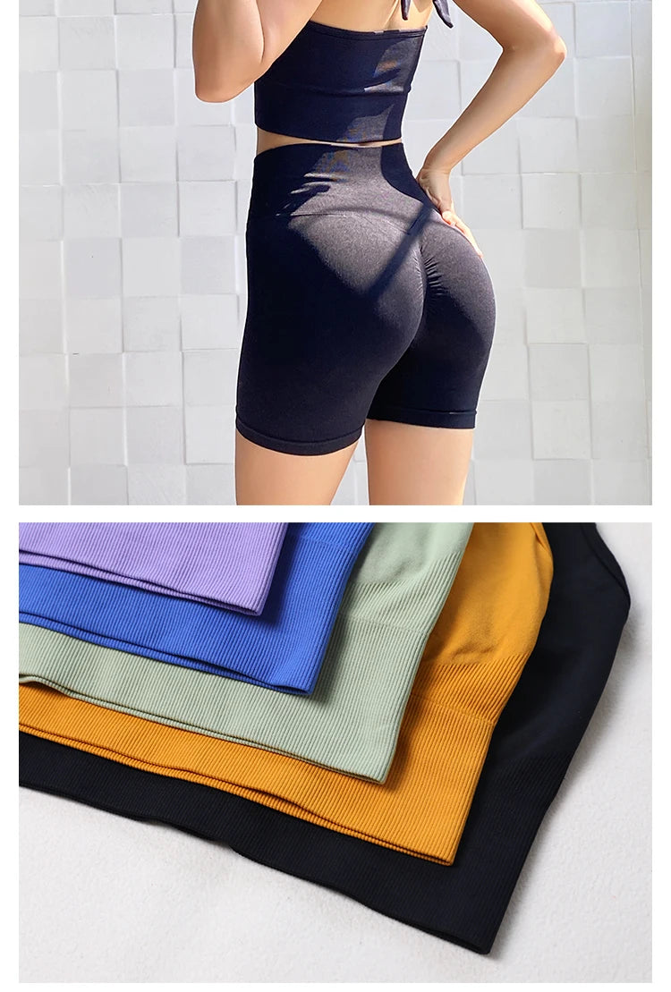 Seamless Push Up Sports Bra for Women, Sports Underwear, Workout Top, Crop Fitness, Active Wear, Yoga Gym Brassiere Sportswear Aviola