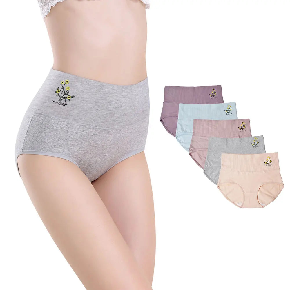 5 pcs/Lot High Waist Underwear Cotton Panties for Women Light Panty Culotte Femme Underpants M-XXL Girls Comfortable Briefs Aviola