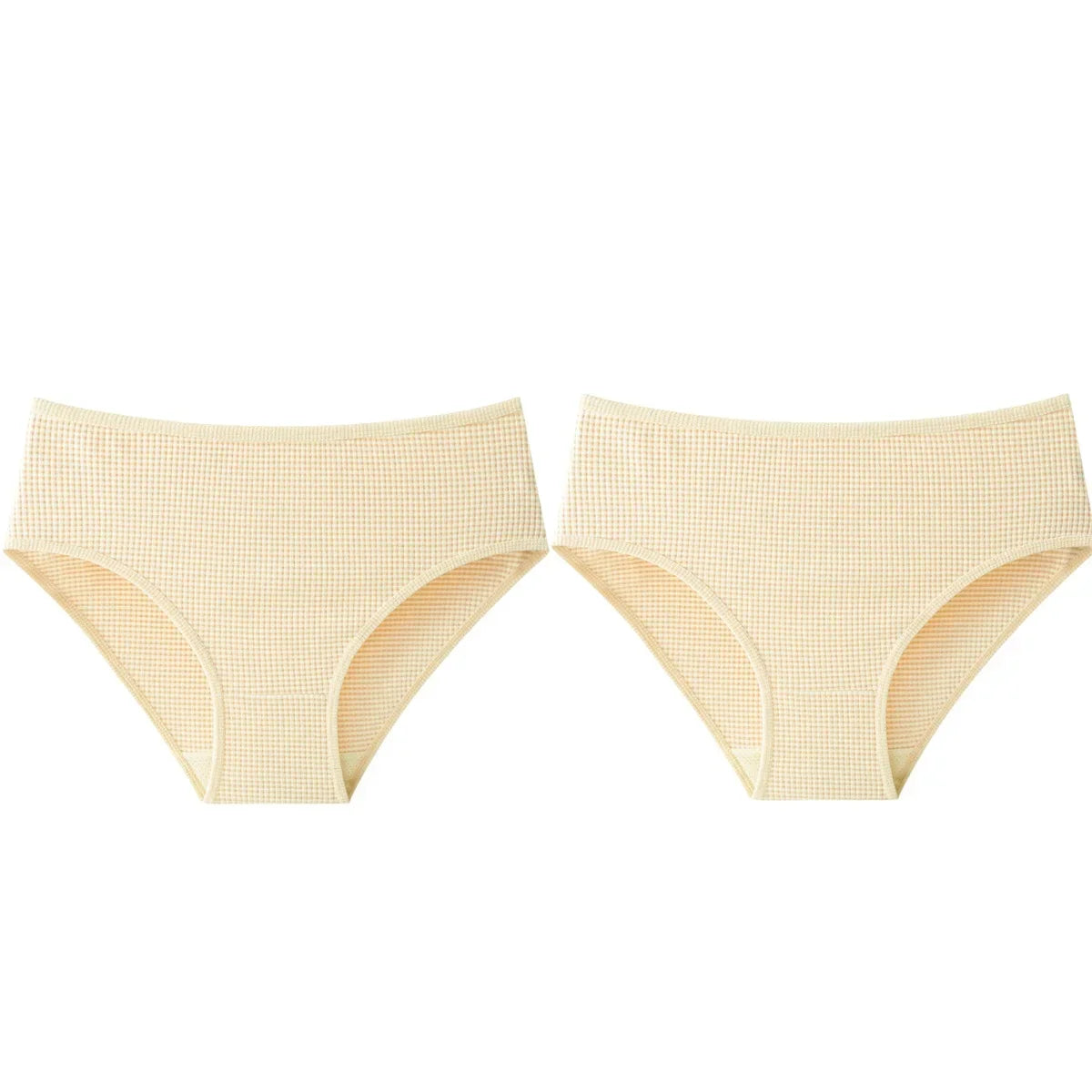 2Pcs/Set Women High Rise Panties Seamless Underwear Winter Warm Underpants Breathable Briefs Female Sexy Lingerie Aviola