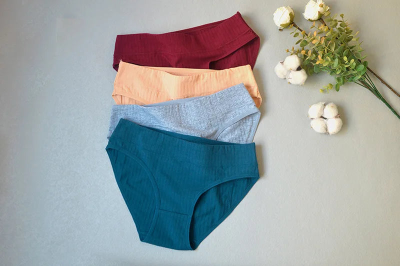 2PCS/Set Women Plus Size Seamless Cotton Panties Daily Underwear Sexy Female Rib Underpants Girls Comfort Briefs Lingerie 835 Aviola