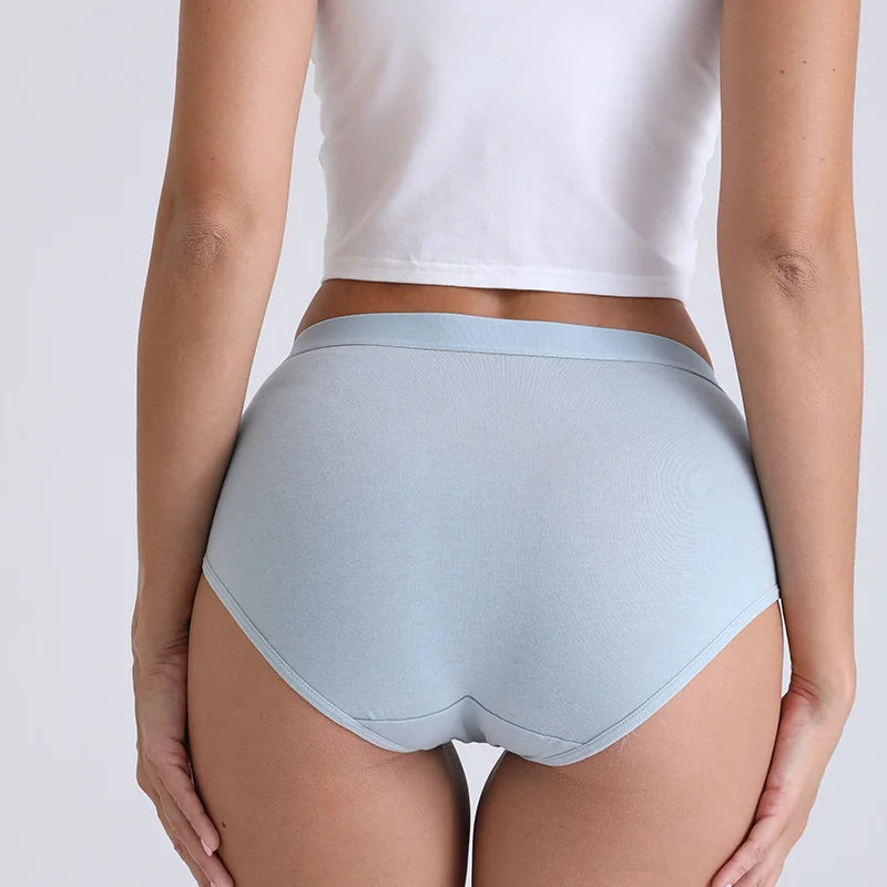 2Pcs/Set Women Printed Big Size Panties Cotton Underwear Lingerie Plus Size Sexy Female High Waist Comfort Briefs Aviola