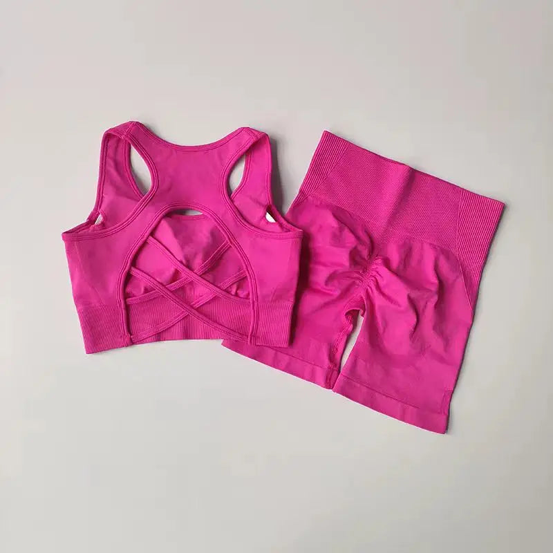 2 PCS Women's Seamless Yoga Set Sexy Sport Bra High Waist Sports Shorts Gym Fitness Sleeveless Workout Suit Sporstwear Aviola