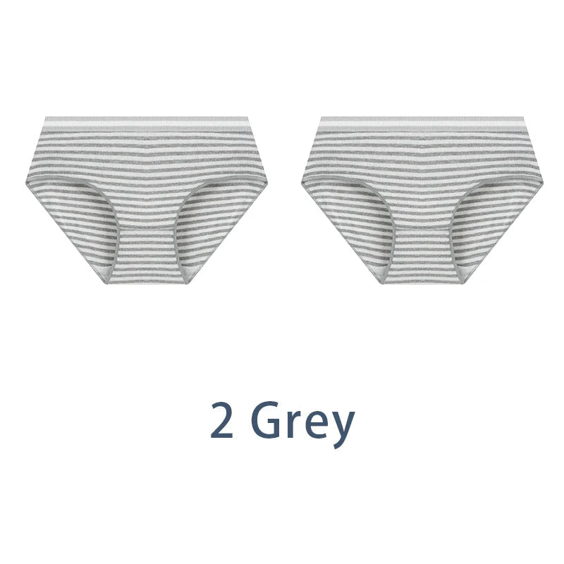 2PCS/Set Women Cotton Sexy Retro Panties Female Low Waist Underwear Classic Design Lingerie Girls Cute Briefs Aviola