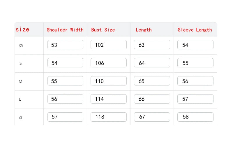 RARF  New 2024 Women's motorcycle leather PU imitation leather loose jacket black jacket Aviola