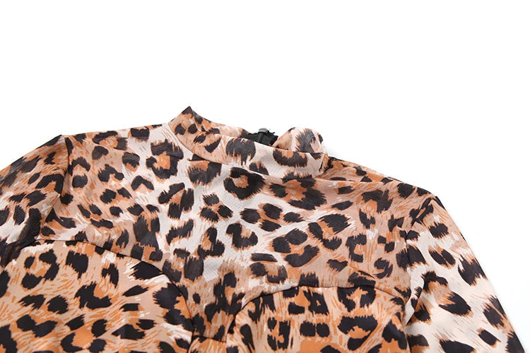 Nibber See Through Leopard Print Jumpsuit Women Sexy midnight full sleeve Hipster Fit Street Clubwear Party Workout Overalls Aviola
