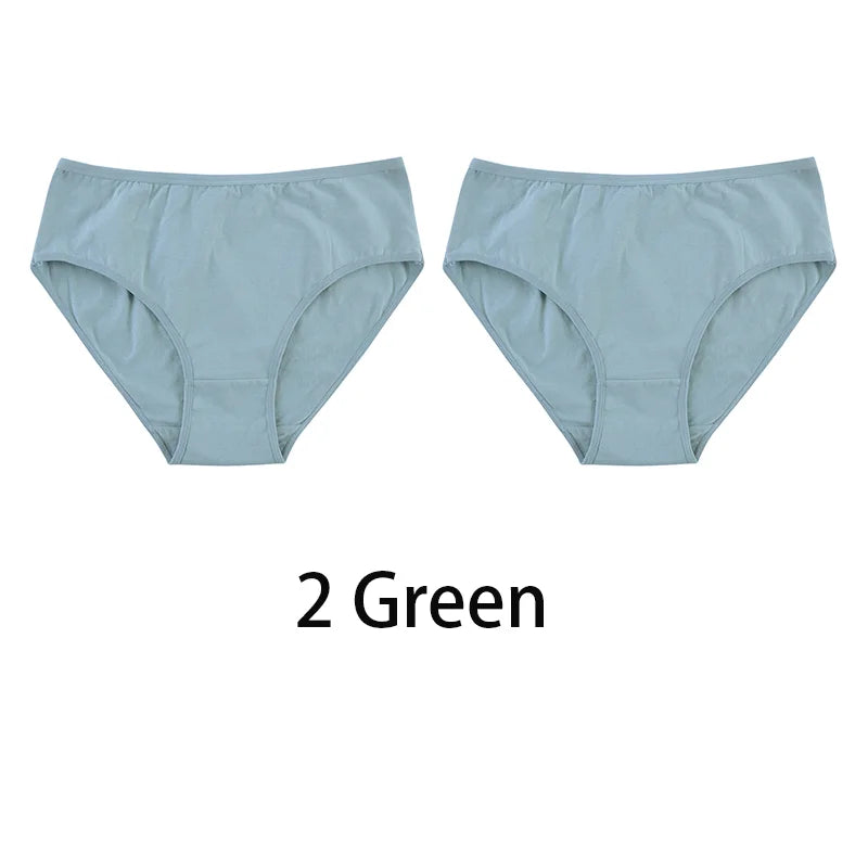 2PCS/Set Women Sexy 95% Cotton Panties Plus Size Underwear Female Underpants Girls Soft Briefs Comfort Lingerie Aviola