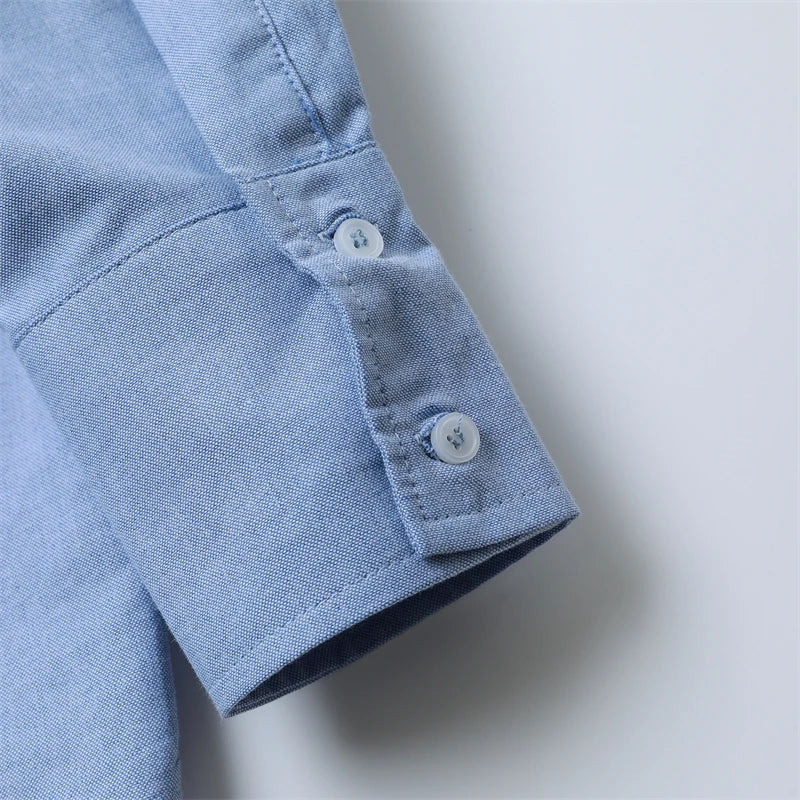 RARF 2024 New women's lapel loose Oxford long sleeve shirt, elegant blouse, vintage style, suitable for the office, fall Aviola