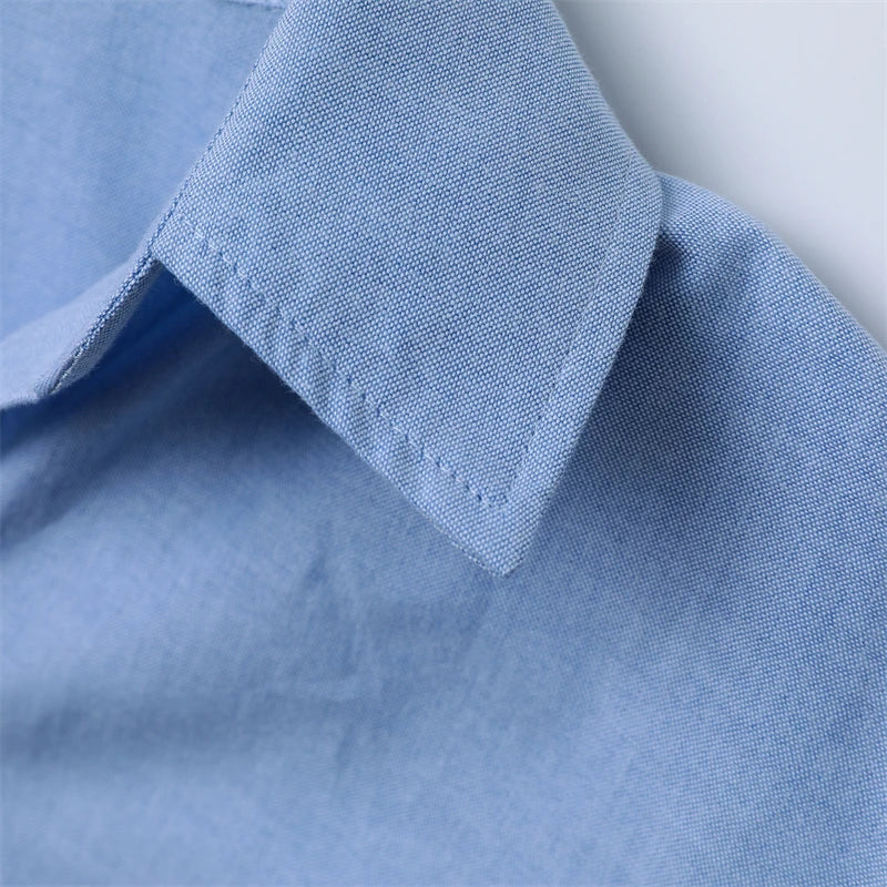RARF 2024 New women's lapel loose Oxford long sleeve shirt, elegant blouse, vintage style, suitable for the office, fall Aviola