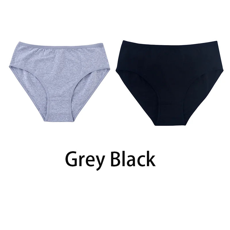 2PCS/Set Women Sexy 95% Cotton Panties Plus Size Underwear Female Underpants Girls Soft Briefs Comfort Lingerie Aviola